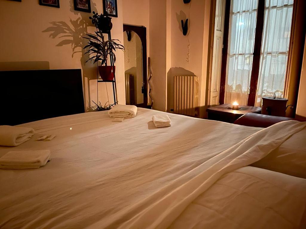 La Stanza Della Giungla Apartment Milano Ngoại thất bức ảnh