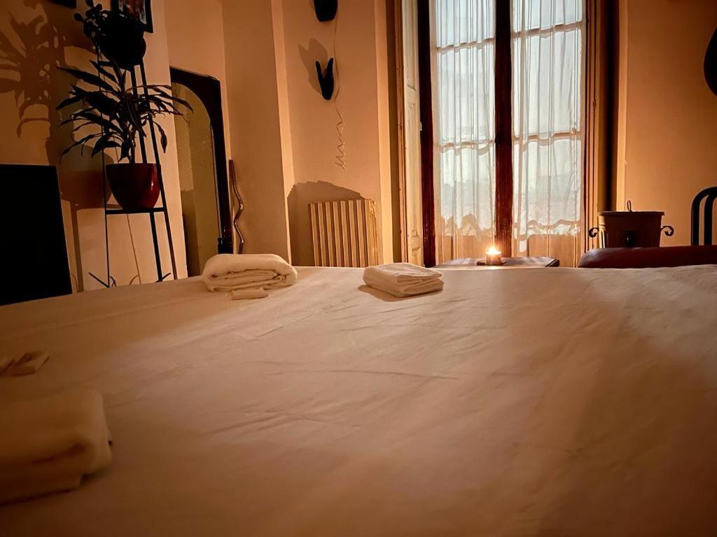 La Stanza Della Giungla Apartment Milano Ngoại thất bức ảnh