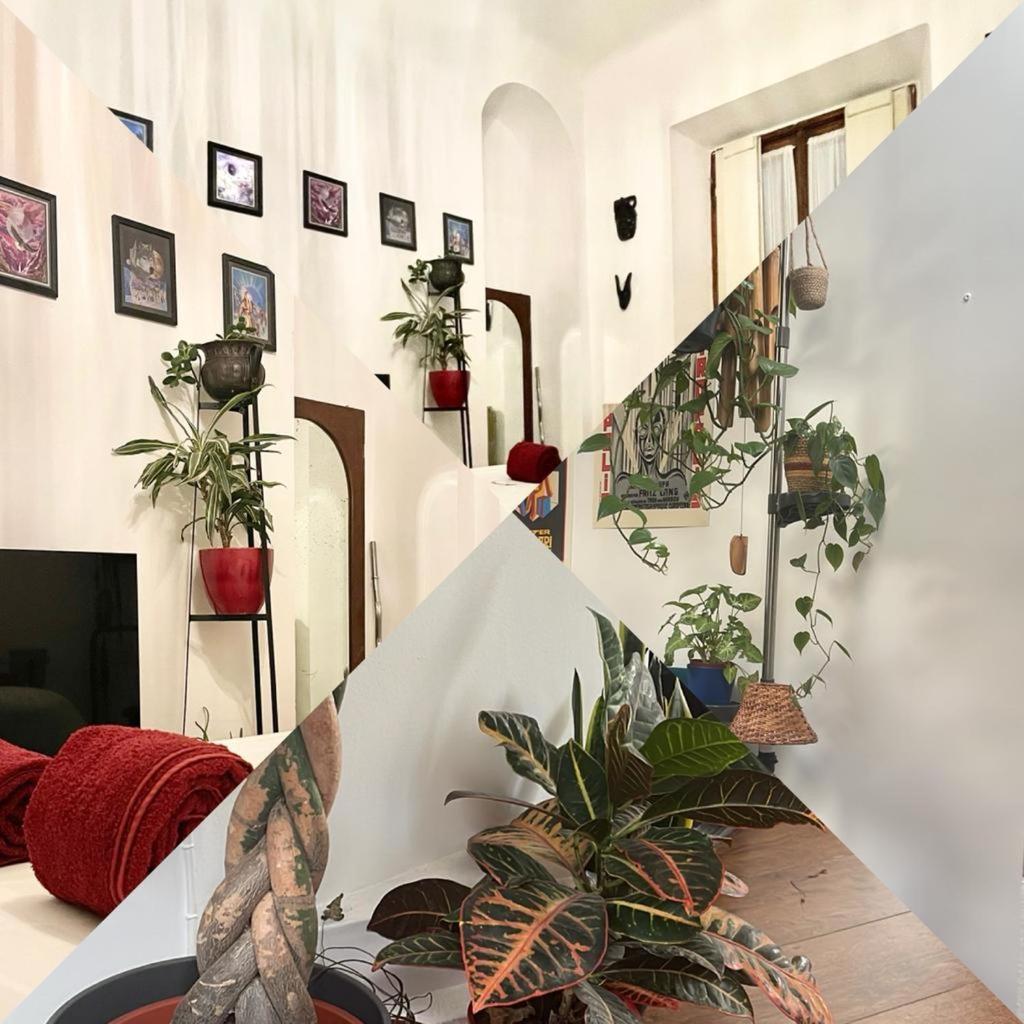 La Stanza Della Giungla Apartment Milano Ngoại thất bức ảnh